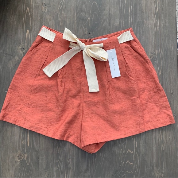 All in Favor Terracotta Shorts Size M EUC - Picture 2 of 5
